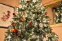 Советы по покупке лучшей рождественской елки для твоего дома